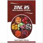 zinc-25